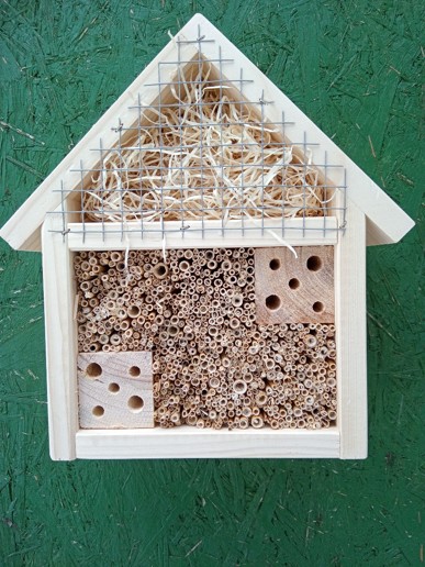 Včelky samotářky, hmyz a ptáci